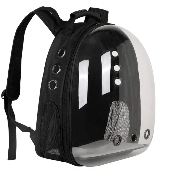 Black backpack with transparent front panel on a white background