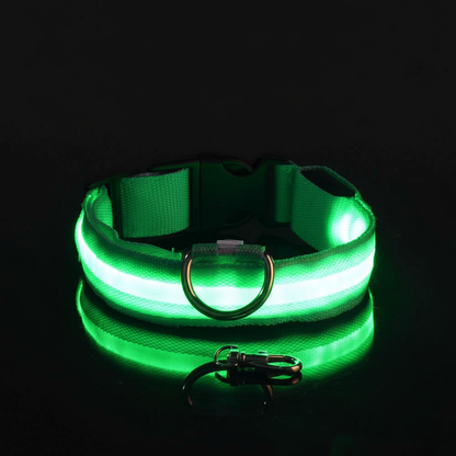 Green LED dog collar on a black background