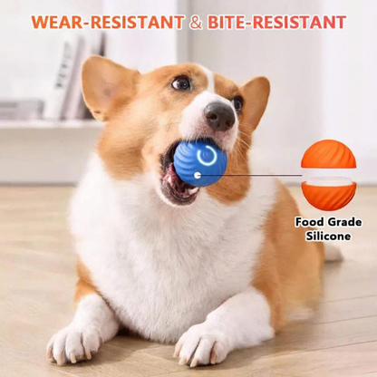 Soft Chew Ball for Puppies - Bite-Proof Dog Toy | Basic Bazaar