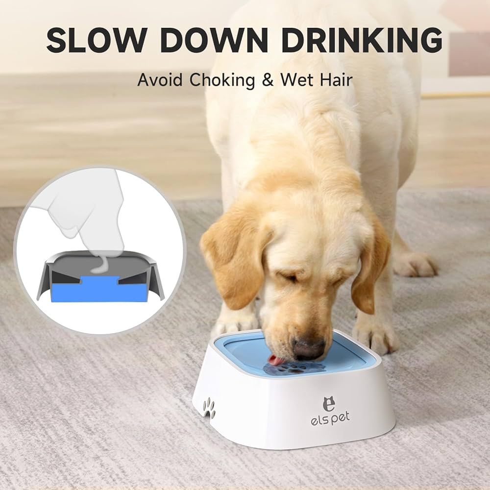 Pet Water Bowl Anti Spill Automatic Dog Bowl Vehicle