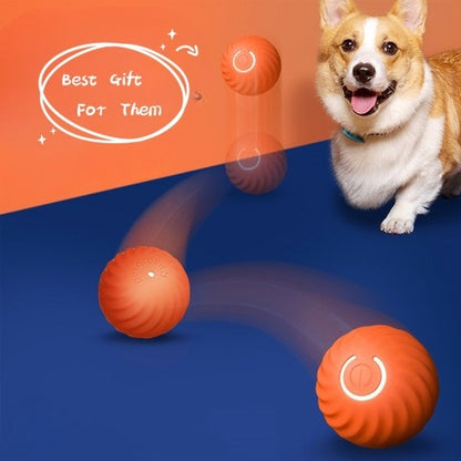Soft Chew Ball for Puppies - Bite-Proof Dog Toy | Basic Bazaar