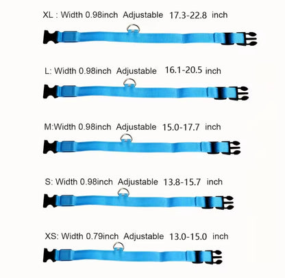 Set of blue dog collars with adjustable sizes on a white background