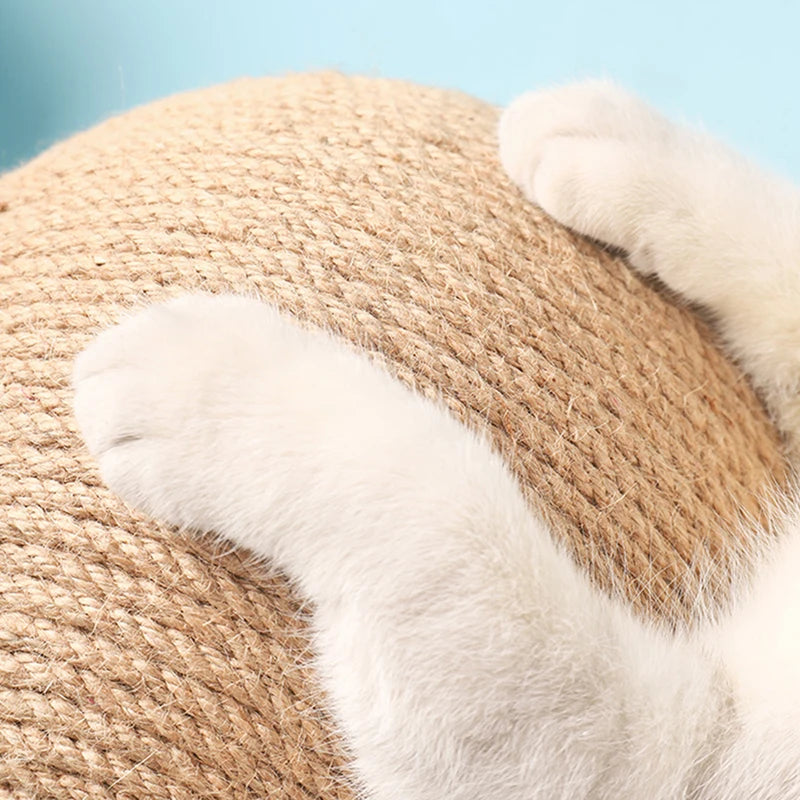 Close-up of a cat's paw on a textured surface with a light blue background