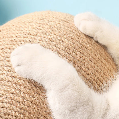 Close-up of a cat's paw on a textured surface with a light blue background