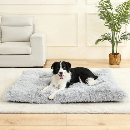 Dog lying on a fluffy gray pet bed in a living room.