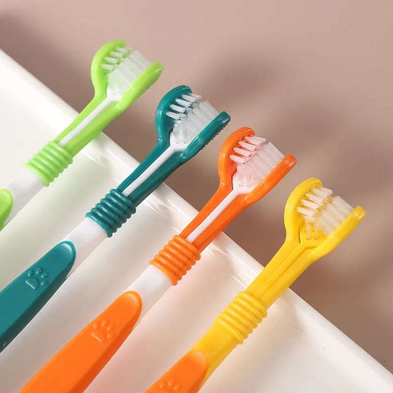 Set of colorful toothbrushes with green, blue, orange, and yellow handles on a white background.