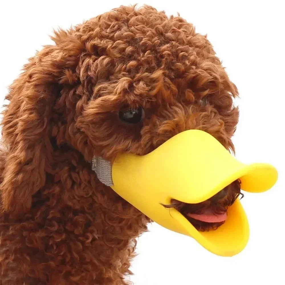 Brown dog wearing a yellow duck bill costume on a white background