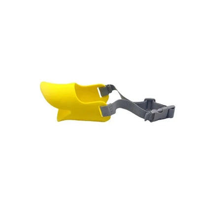 Yellow and gray dog muzzle on a white background