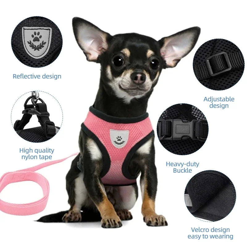 Small dog wearing a pink harness with product features highlighted on a white background