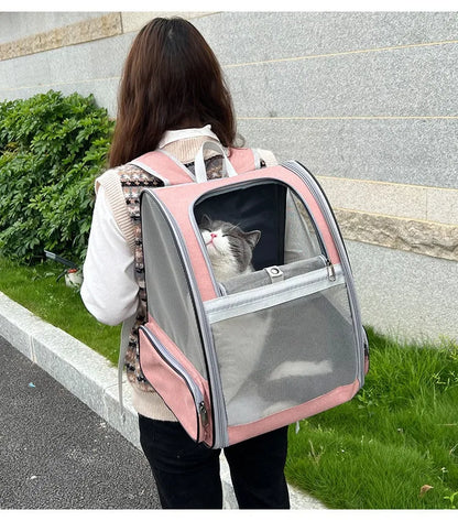 Person carrying a pink pet backpack with a cat inside on a sidewalk.