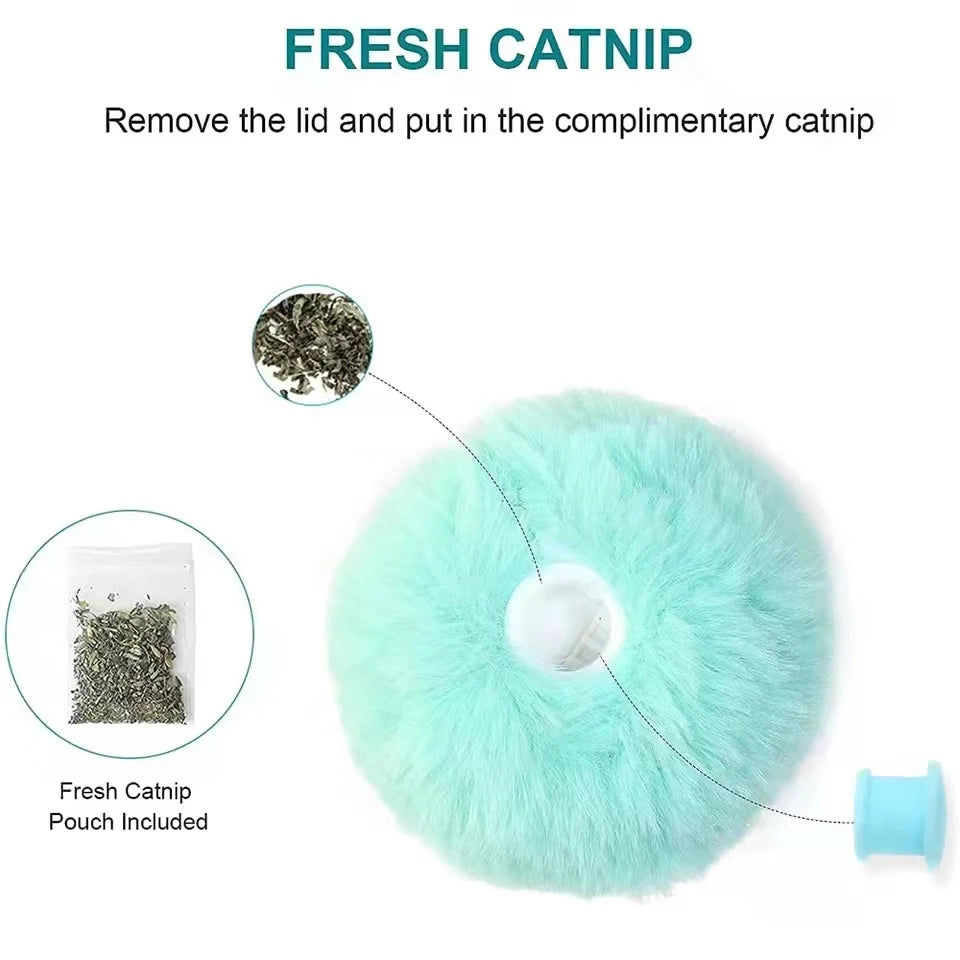 Teal cat toy with instructions on adding fresh catnip, including a pouch and a small amount of catnip.