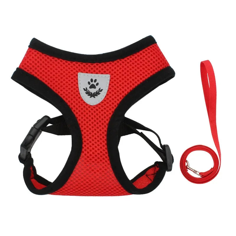 Red dog harness and leash set on a white background