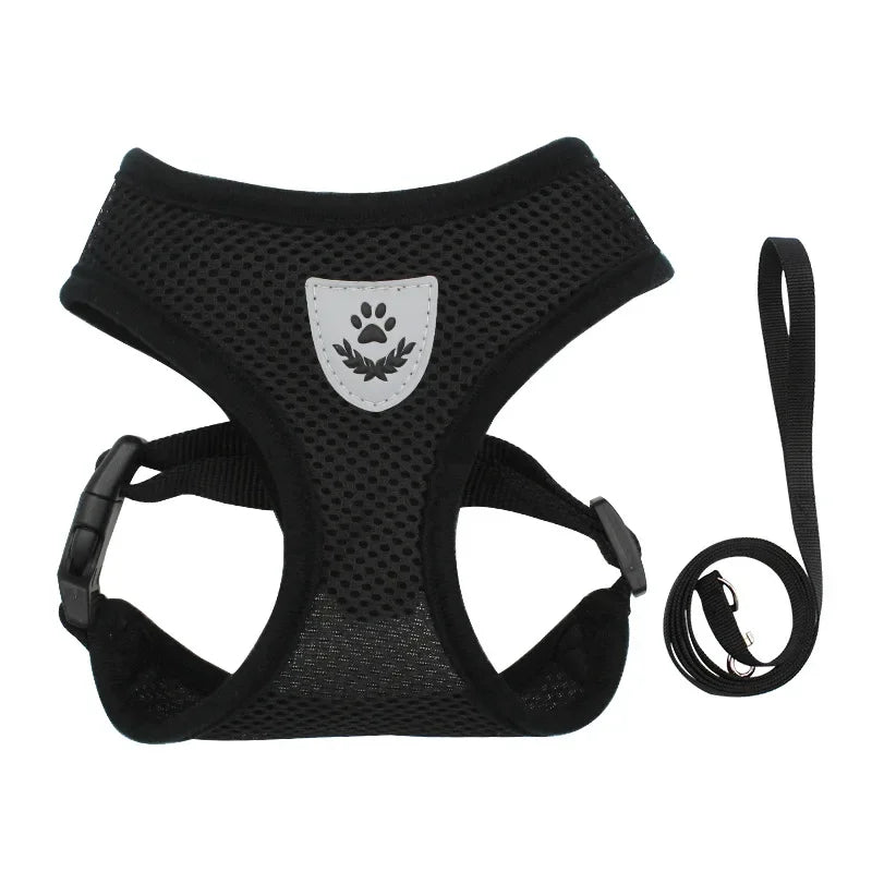 Black pet harness with a leash on a white background