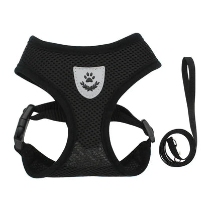 Black pet harness with a leash on a white background