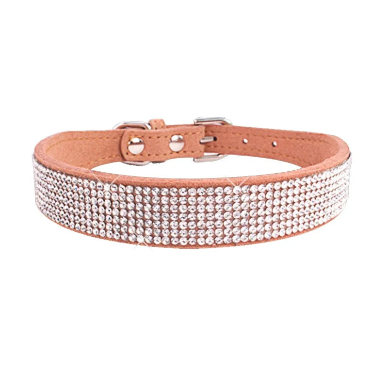 Dog collar with rhinestones on a white background
