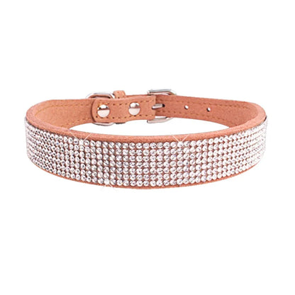 Dog collar with rhinestones on a white background