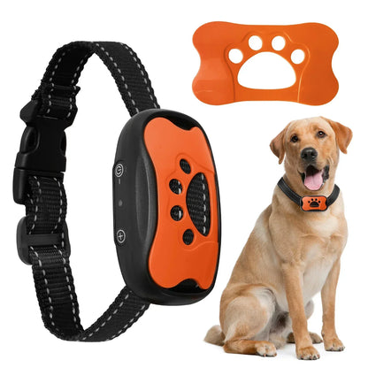 Dog collar with remote control, orange device, and dog sitting on a white background