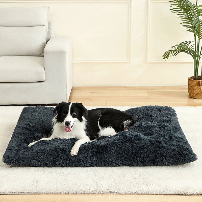 Dog lying on a fluffy dark gray pet bed in a living room.