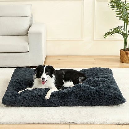 Dog lying on a fluffy dark gray pet bed in a living room.