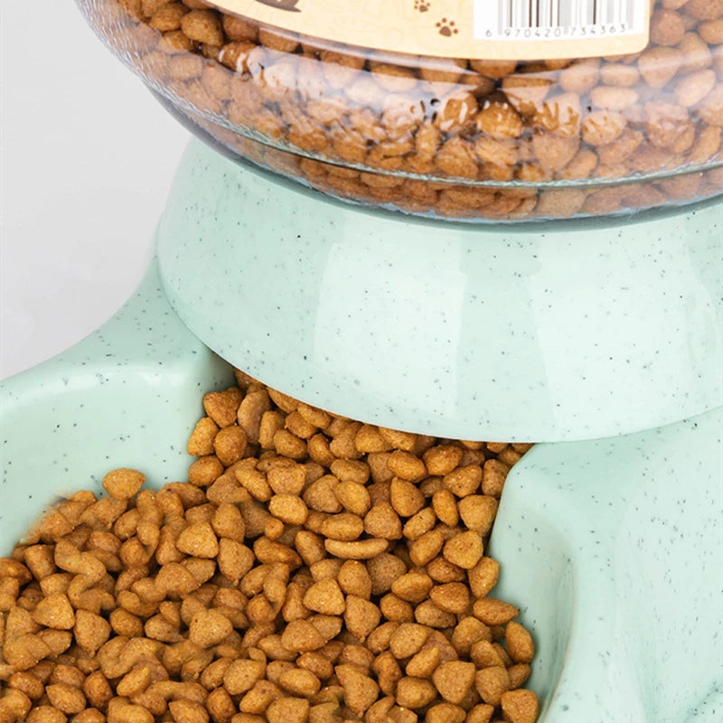 Pet food in a transparent container with a lid on a light green base.