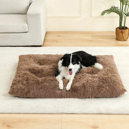Dog lying on a fluffy brown pet bed in a living room.