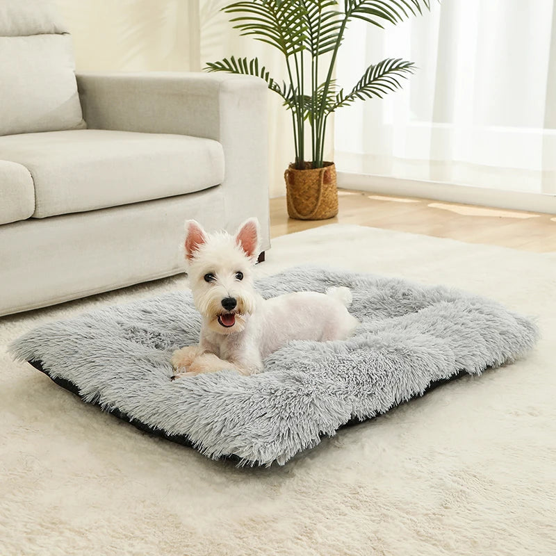 Dog lying on a fluffy gray pet bed in a living room.