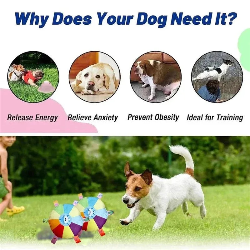 Dog playing with a colorful toy in a grassy area, with text explaining benefits of the toy.