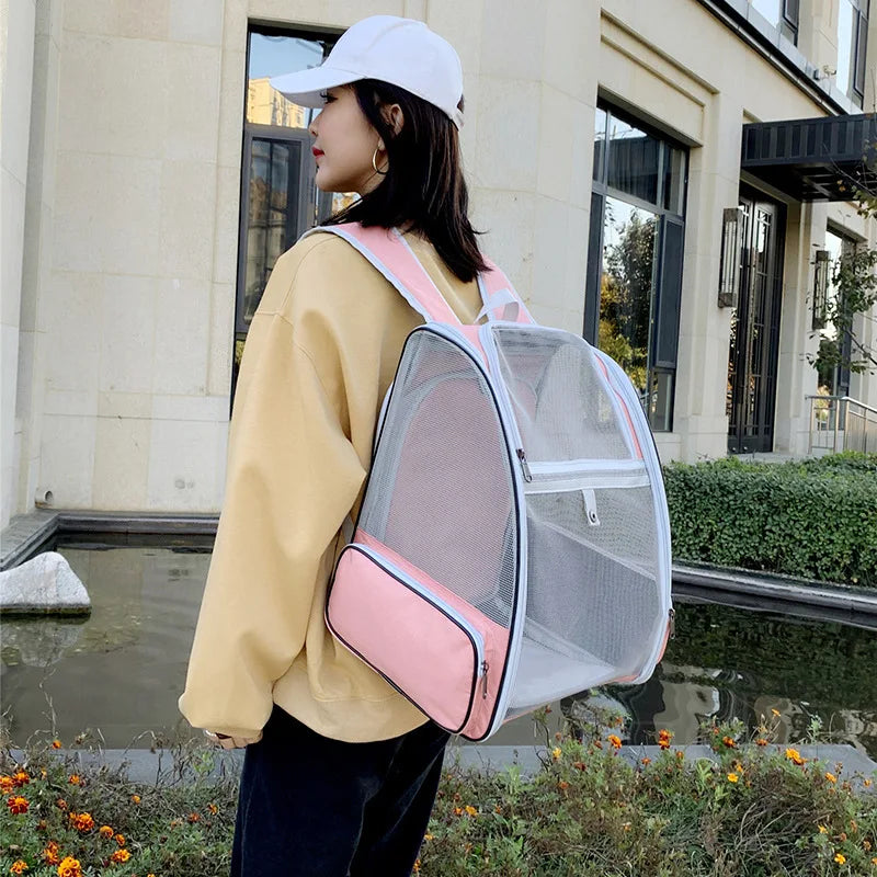Person wearing a transparent backpack with pink accents outdoors.