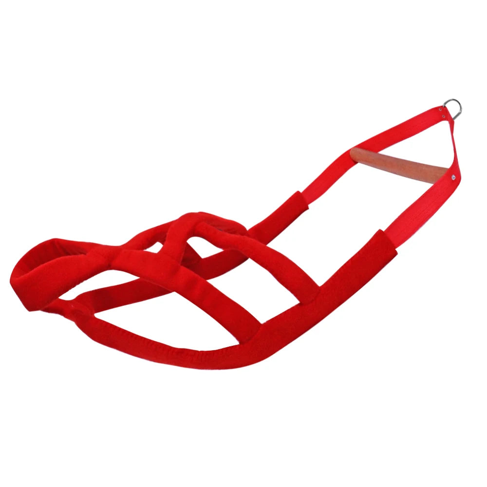 Red hammock swing on a white background