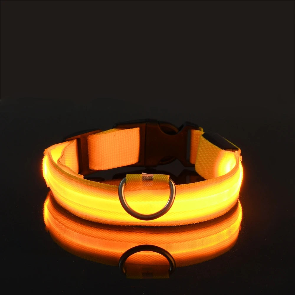 Glowing orange dog collar on a black background
