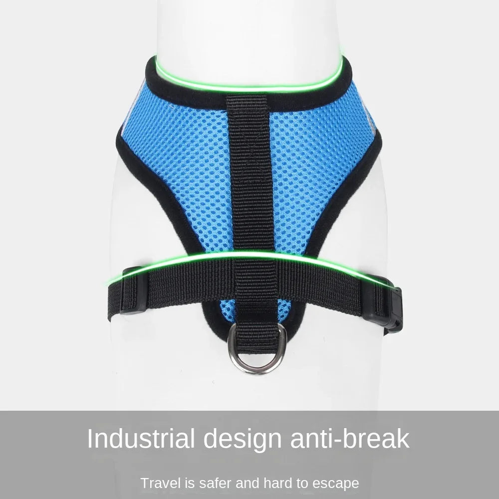 Blue dog harness with green trim on a white background