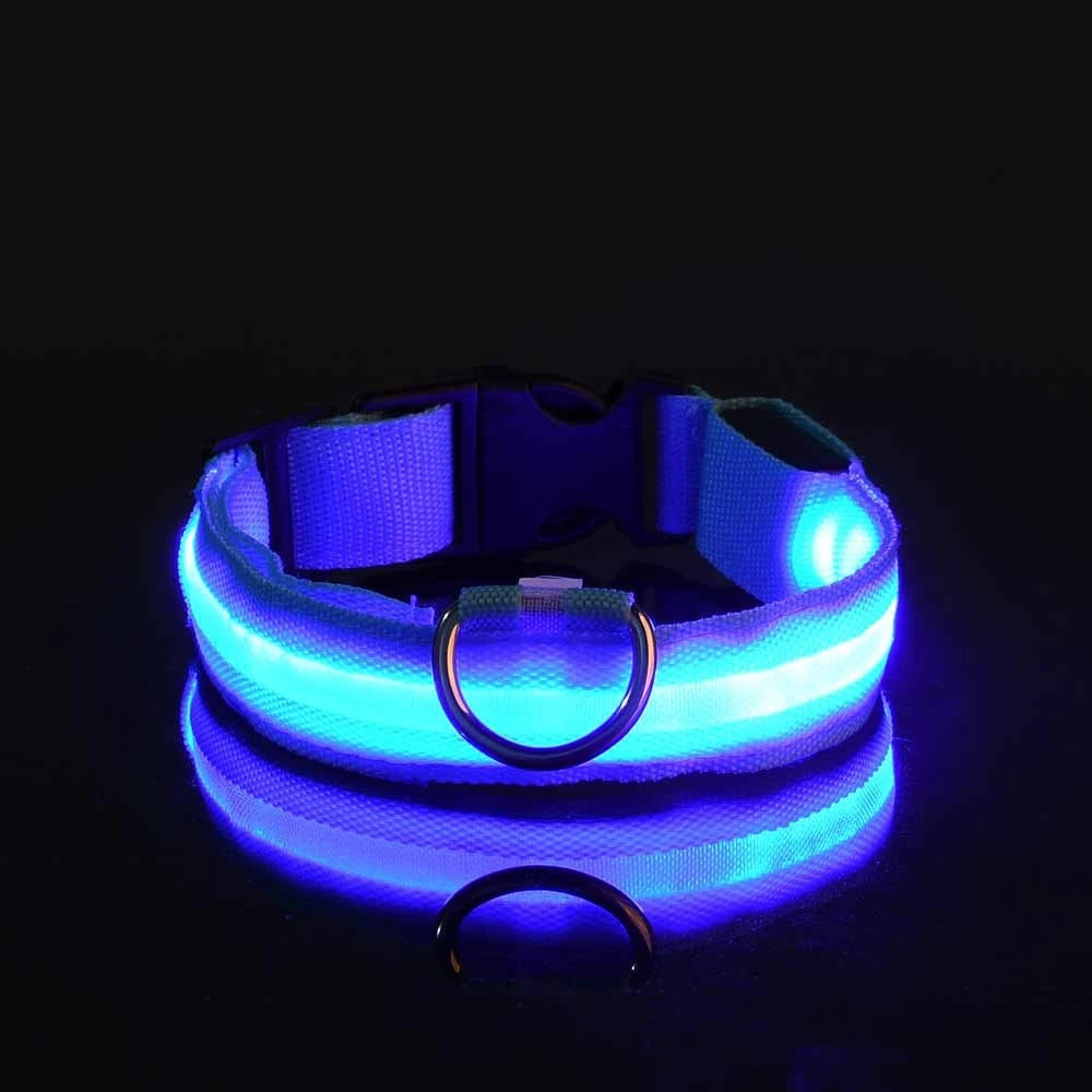 LED dog collar glowing in the dark on a black background