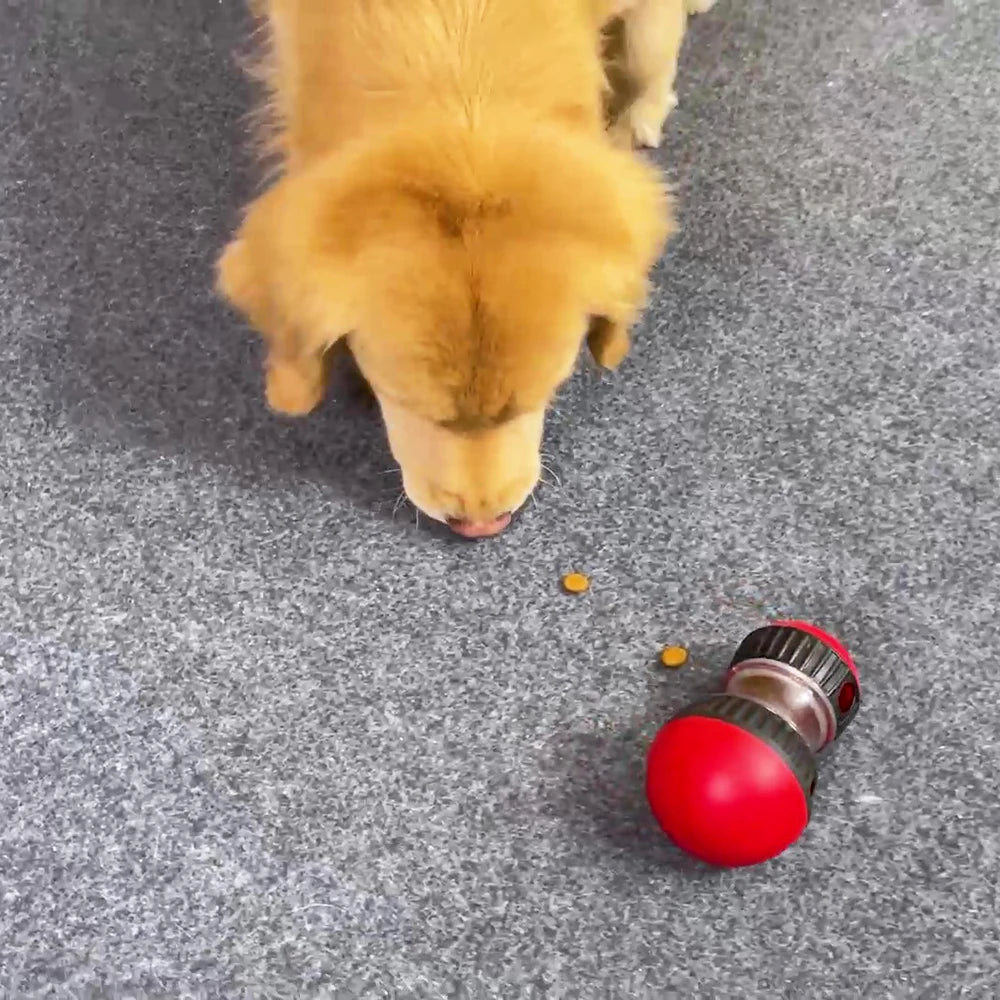 Dog sniffing a red and black object on a gray floor