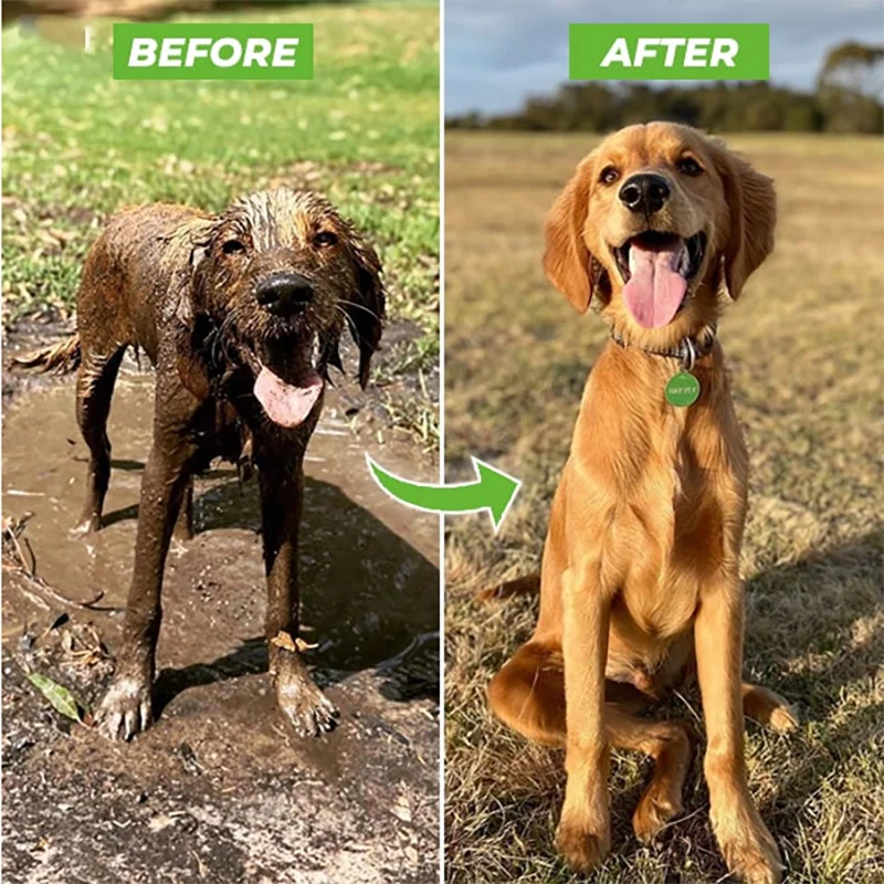 Before and after comparison of a dog cleaning itself on a muddy patch.