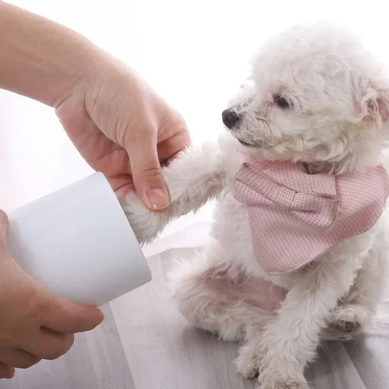Small white dog wearing a pink bow tie being petted by a person on a light background
