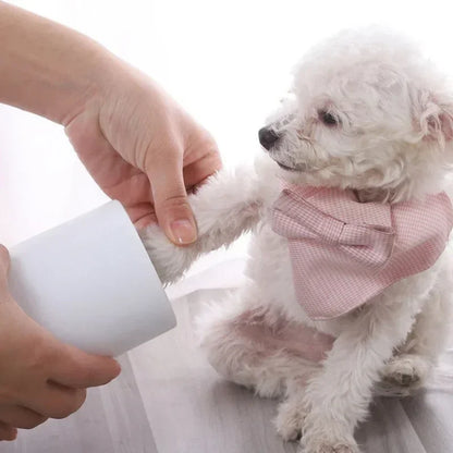 Small white dog wearing a pink bow tie being petted by a person on a light background