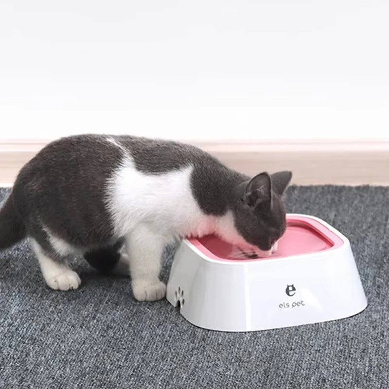 Cat drinking from a pink and white pet bowl on a gray carpet.