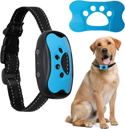 Dog collar with blue electronic device and blue paw-shaped item on a white background
