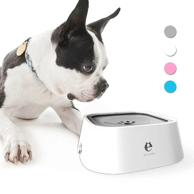 Dog looking at a white pet water fountain on a white background