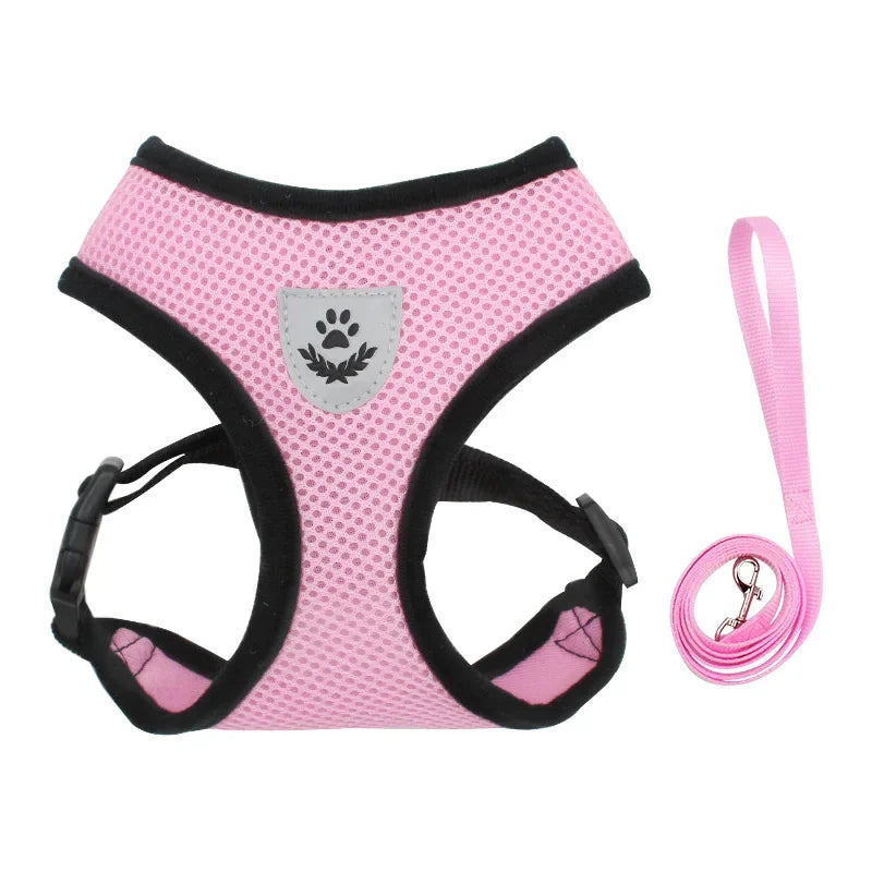 Pink dog harness and leash set on a white background