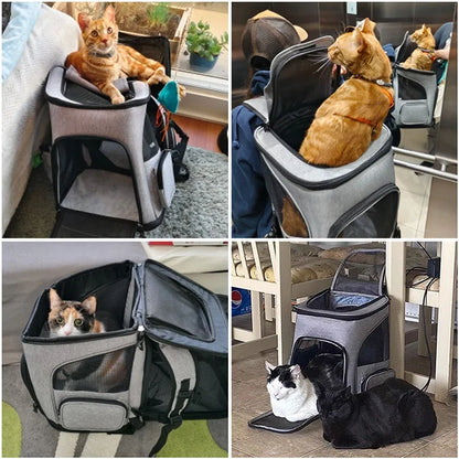 Collage of a pet carrier with cats and dogs inside in various settings.