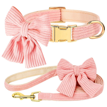 Pink dog collar and leash set with gold hardware on a white background