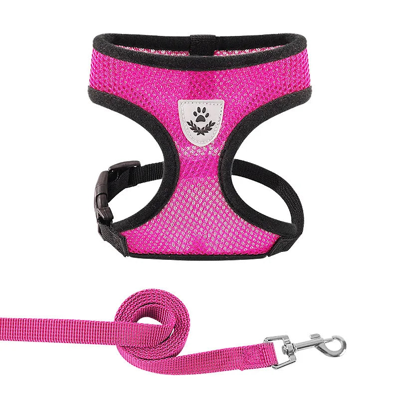 Pink dog harness and leash set on a white background