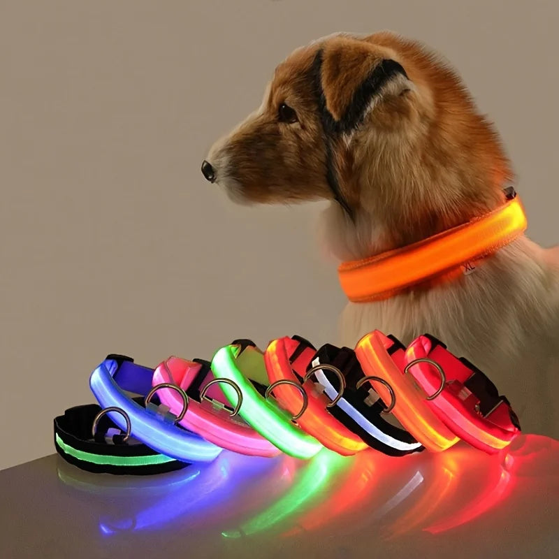 Dog wearing a glowing orange collar with colorful collars displayed in front on a reflective surface.