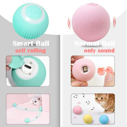 Comparison of a smart ball and a normal ball with images of a cat and music notes.