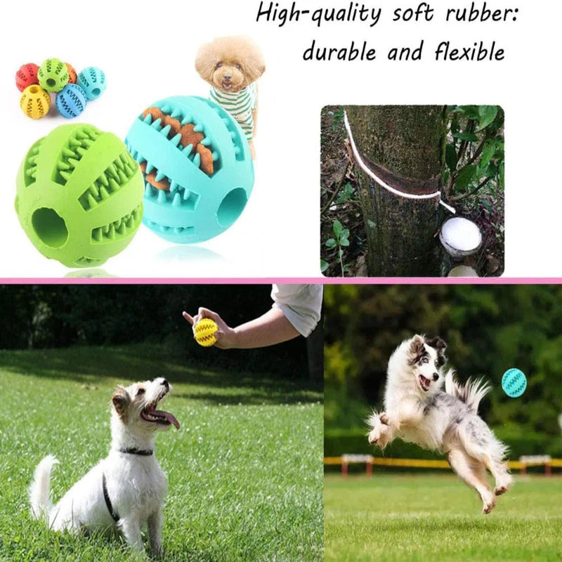Collage of dog toys, a tree with a rope, and dogs playing outdoors.