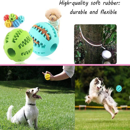 Collage of dog toys, a tree with a rope, and dogs playing outdoors.