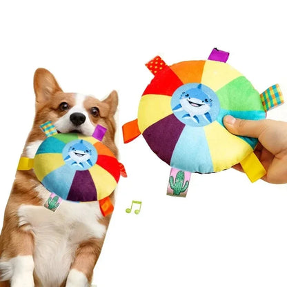 Dog playing with a colorful toy held by a hand, on a white background