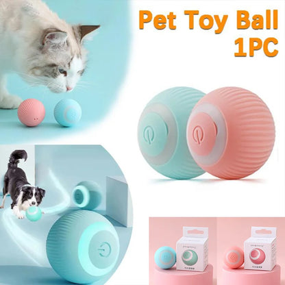 Pet toy ball with a cat and dog playing with it, and packaging shown.