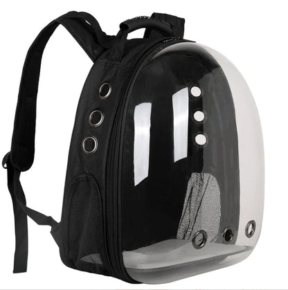 Black backpack with transparent front panel on a white background